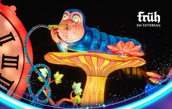 Bild Garden of Lights