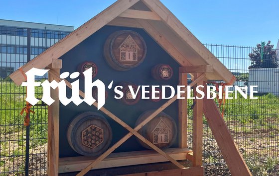 Bild FRÜH's Veedelsbiene